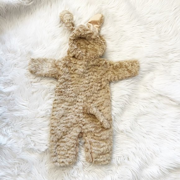 NEW Pottery Barn Kids BABY DOG HALLOWEEN COSTUME 0-6 3 MONTHS *brown puppy - Picture 4 of 15